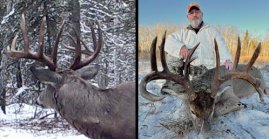 Before & After Photos